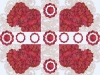 raspberrypattern_sm